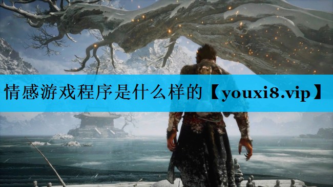 情感游戏程序是什么样的