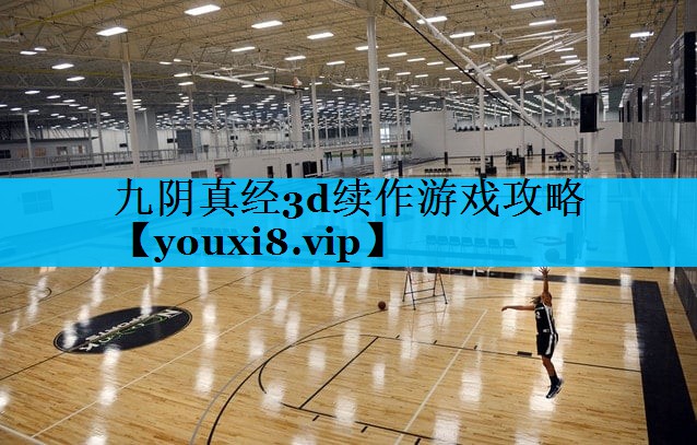 九阴真经3d续作游戏攻略