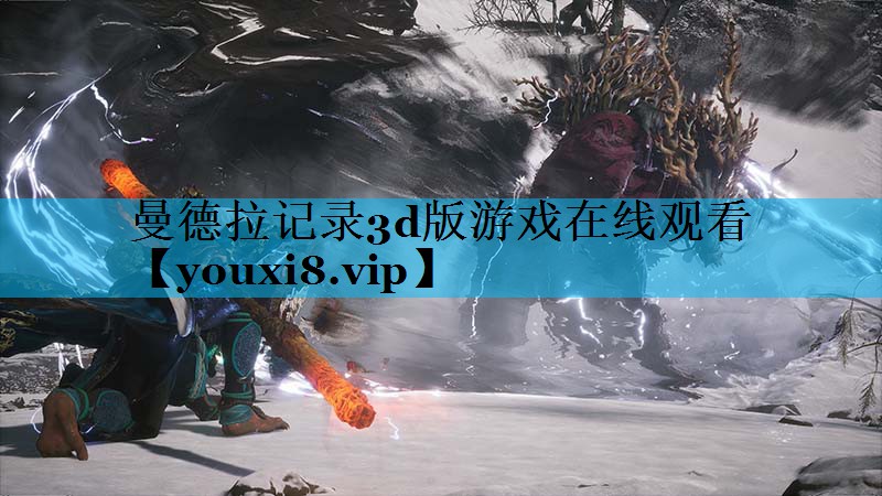 曼德拉记录3d版游戏在线观看