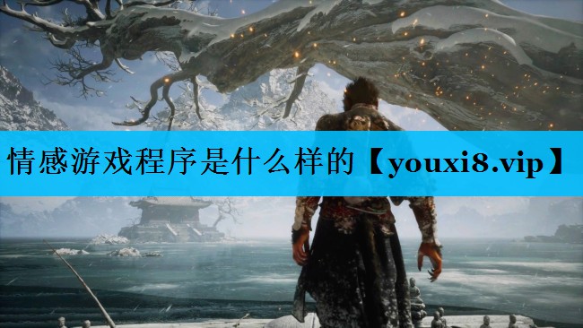 情感游戏程序是什么样的