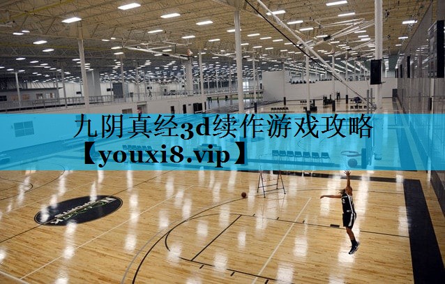 九阴真经3d续作游戏攻略