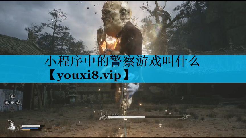 小程序中的警察游戏叫什么 小程序中的警察游戏叫什么