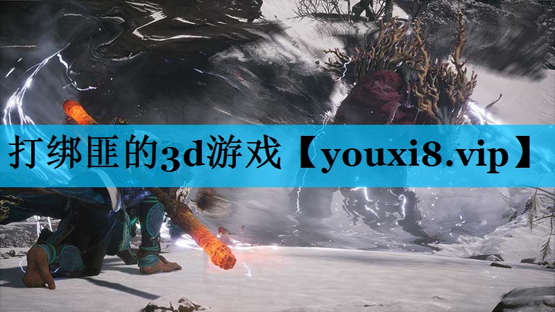 打绑匪的3d游戏