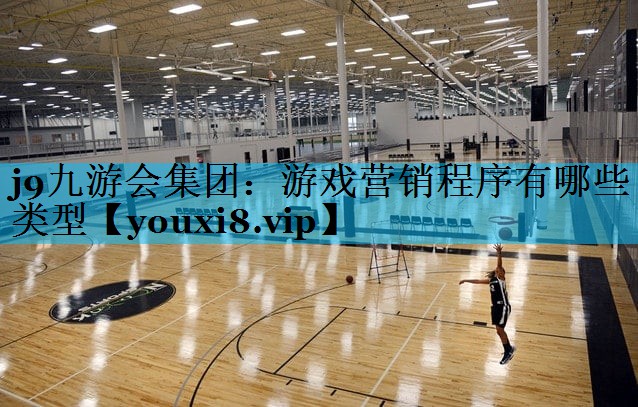 游戏营销程序有哪些类型