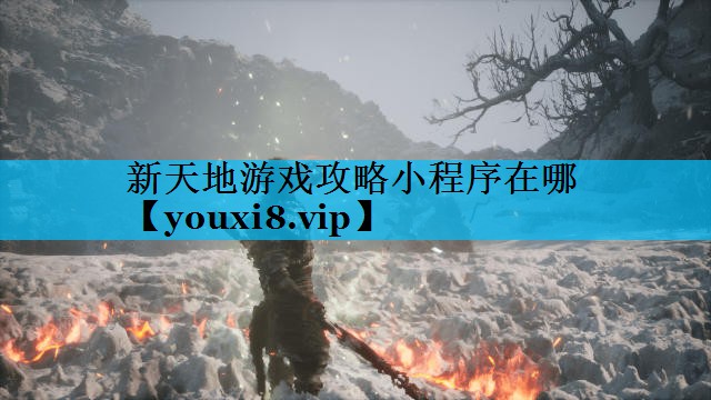 新天地游戏攻略小程序在哪 新天地游戏攻略小程序在哪