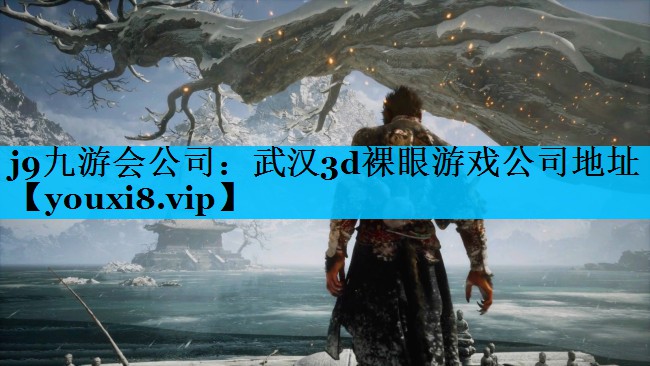 武汉3d裸眼游戏公司地址 武汉3d裸眼游戏公司地址