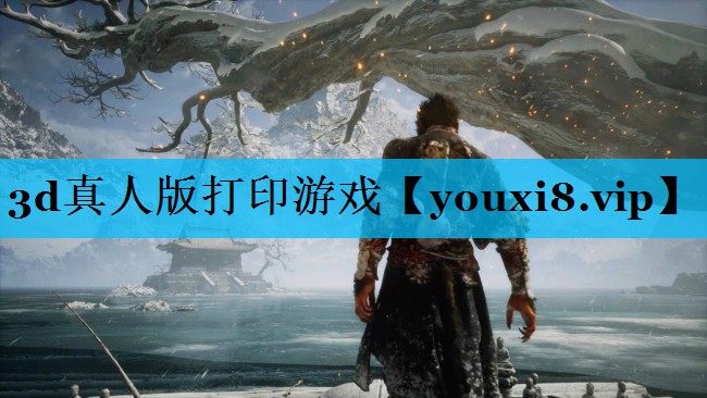 3d真人版打印游戏 3d真人版打印游戏