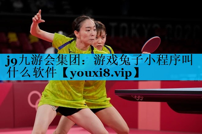 游戏兔子小程序叫什么软件 游戏兔子小程序叫什么软件
